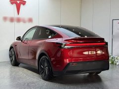 Tesla Model Y Rear-Wheel Drive - ფოტო 5