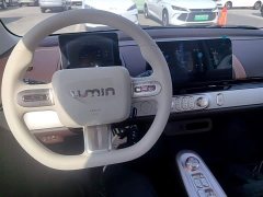 Changan Lumin Treasure Edition 205km Cool Love White CATL - ფოტო 10