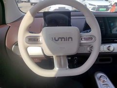 Changan Lumin Treasure Edition 205km Cool Love White CATL - ფოტო 11