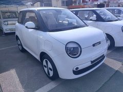 Changan Lumin Treasure Edition 205km Cool Love White CATL - ფოტო 4