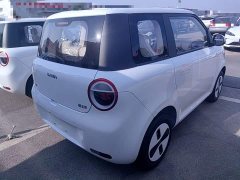 Changan Lumin Treasure Edition 205km Cool Love White CATL - ფოტო 7