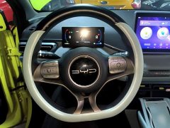 BYD Seagull Vitality Edition - ფოტო 11