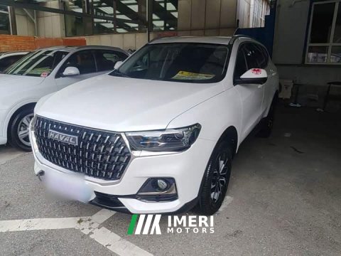 2024 Haval H6 2023 National Trend Edition 1.5T Automatic Urban Version - ავტომობილი ჩინეთიდან