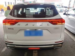 Haval H6 2023 National Trend Edition 1.5T Automatic Urban Version - ფოტო 6