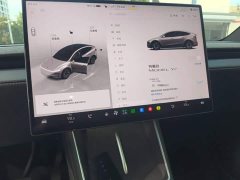 Tesla Model Y L 2025 Long Range All-Wheel Drive - ფოტო 13