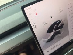 Tesla Model Y L 2025 Long Range All-Wheel Drive - ფოტო 14