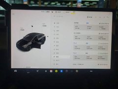 Tesla Model Y Rear-Wheel Drive - ფოტო 12