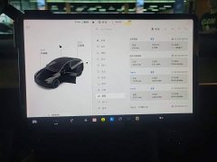Tesla Model Y Rear-Wheel Drive - ფოტო 13