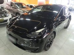Tesla Model Y Rear-Wheel Drive - ფოტო 2