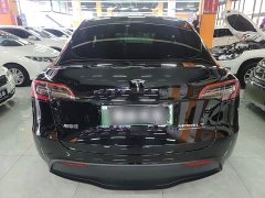 Tesla Model Y Rear-Wheel Drive - ფოტო 6