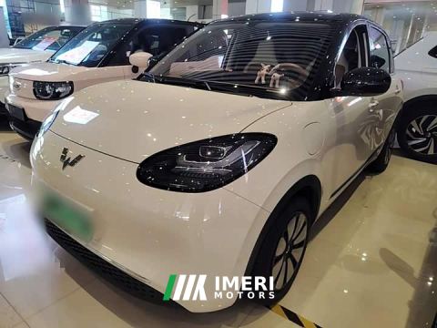 2025 Wuling Binguo 333km Joy Edition