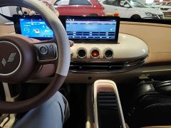 Wuling Binguo 333km Joy Edition - ფოტო 10