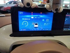 Wuling Binguo 333km Joy Edition - ფოტო 12