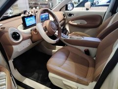 Wuling Binguo 333km Joy Edition - ფოტო 15