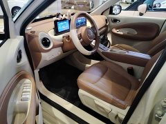 Wuling Binguo 333km Joy Edition - ფოტო 16