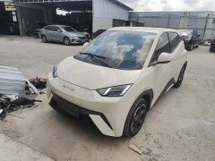 BYD Seagull Freedom Edition - ფოტო 2