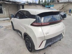 BYD Seagull Freedom Edition - ფოტო 5