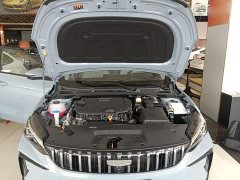 Geely Binrui 2024 Binrui COOL 1.5T DCT Dragon Ascend Edition - ფოტო 20