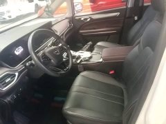 GAC Aion M6 2023 PRO 270T DCT Luxury - ფოტო 15