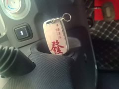 Wuling Hongguang MINIEV 2021 Macaron Premium Edition LFP - ფოტო 9