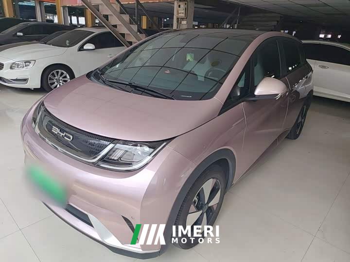 BYD Dolphin 420km Fashion Edition - ავტომობილი ჩინეთიდან