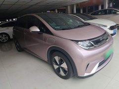 BYD Dolphin 420km Fashion Edition - ფოტო 4