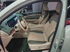 ORA Good Cat 2022 400km Standard Range Luxury Lithium Iron Phosphate - ფოტო 15