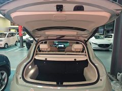 ORA Good Cat 2022 400km Standard Range Luxury Lithium Iron Phosphate - ფოტო 19