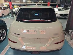 ORA Good Cat 2022 400km Standard Range Luxury Lithium Iron Phosphate - ფოტო 6