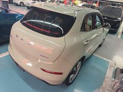 ORA Good Cat 2022 400km Standard Range Luxury Lithium Iron Phosphate - ფოტო 7