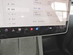 Tesla Model Y Rear-Wheel Drive - ფოტო 12