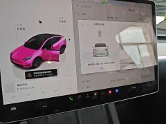 Tesla Model Y Rear-Wheel Drive - ფოტო 13