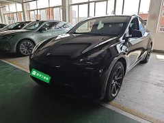 Tesla Model Y Rear-Wheel Drive - ფოტო 2