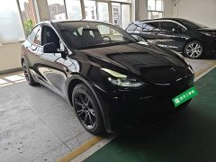 Tesla Model Y Rear-Wheel Drive - ფოტო 4