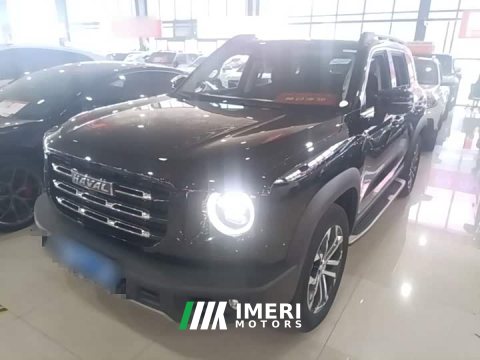2023 Great Wall Dachshund 2022 1.5T DCT Two-Wheel Drive Border Collie Edition - ავტომობილი ჩინეთიდან