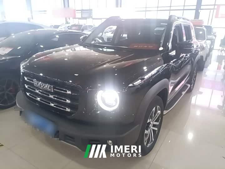 Great Wall Dachshund 1.5T DCT Two-Wheel Drive Border Collie Edition
