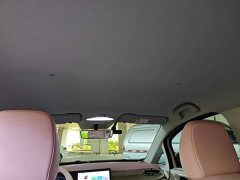 Geely Geometry E Firefly 401km Fluorescent - ფოტო 18