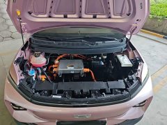 Geely Geometry E Firefly 401km Fluorescent - ფოტო 20