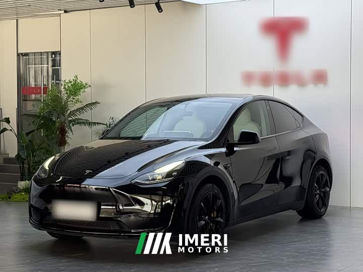 Tesla Model Y Rear-Wheel Drive