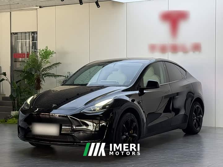 Tesla Model Y Rear-Wheel Drive - ავტომობილი ჩინეთიდან