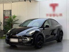 Tesla Model Y Rear-Wheel Drive - ფოტო 2