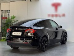 Tesla Model Y Rear-Wheel Drive - ფოტო 7