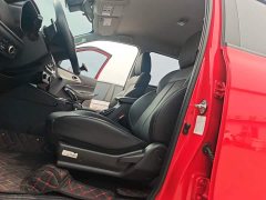 Domain Tiger Yuhu 7 2.0T Automatic Diesel 4WD Comfort Long Wheelbase - photo 15