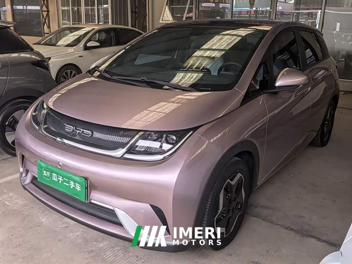 BYD Dolphin 405km Fashion Edition - ავტომობილი ჩინეთიდან