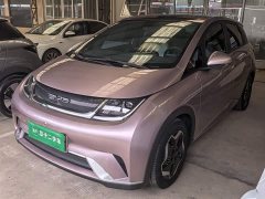 BYD Dolphin 405km Fashion Edition - ფოტო 1