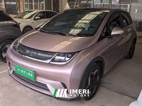 2022 BYD Dolphin 405km Fashion Edition - ავტომობილი ჩინეთიდან