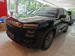 Jetour Jietu Dasheng 2024 1.6T DCT King - ფოტო 2