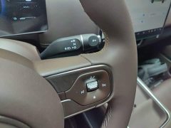 Wuling Starlight 730 New Energy PHEV 125km Luxury - ფოტო 10