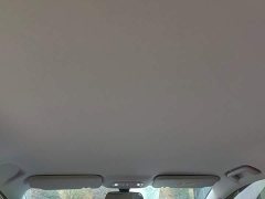 Wuling Starlight 730 New Energy PHEV 125km Luxury - ფოტო 14