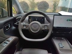 Wuling Starlight 730 New Energy PHEV 125km Luxury - ფოტო 7
